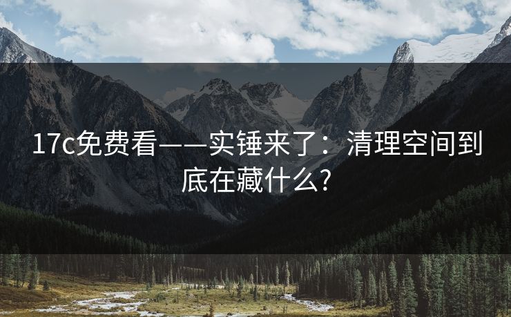 17c免费看——实锤来了:清理空间到底在藏什么?
