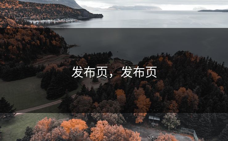 发布页，发布页