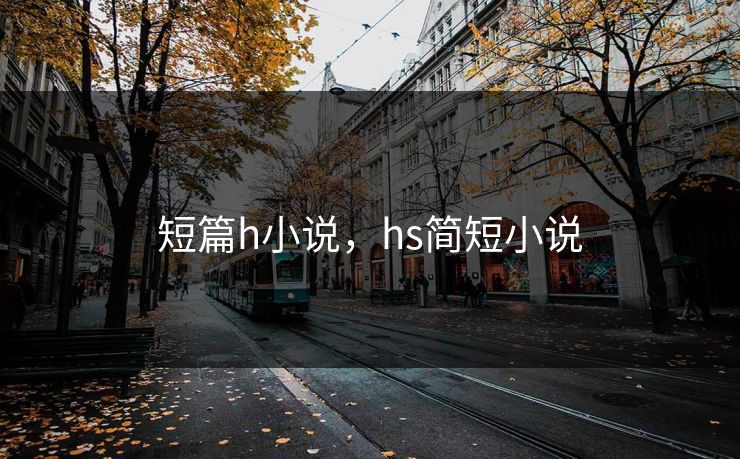 短篇h小说，hs简短小说
