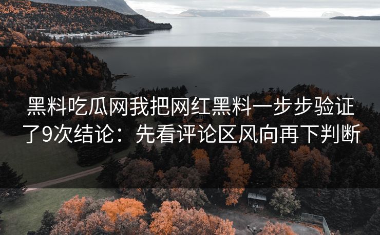 黑料吃瓜网我把网红黑料一步步验证了9次结论:先看评论区风向再下判断